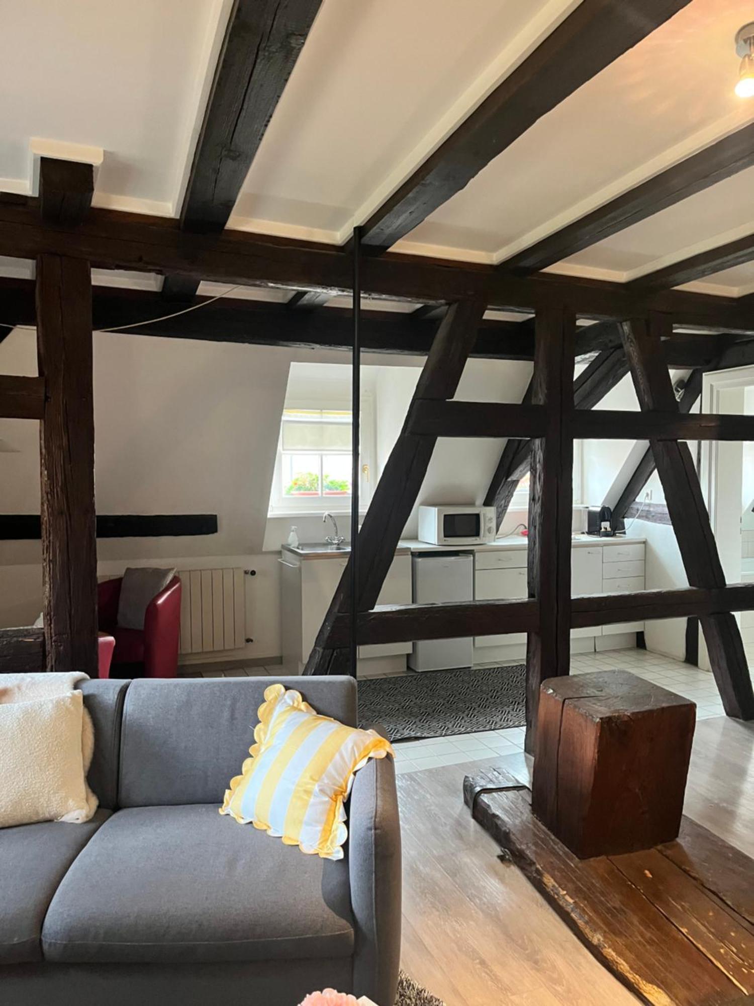 Appartement Bastion De Riquewihr Esterno foto